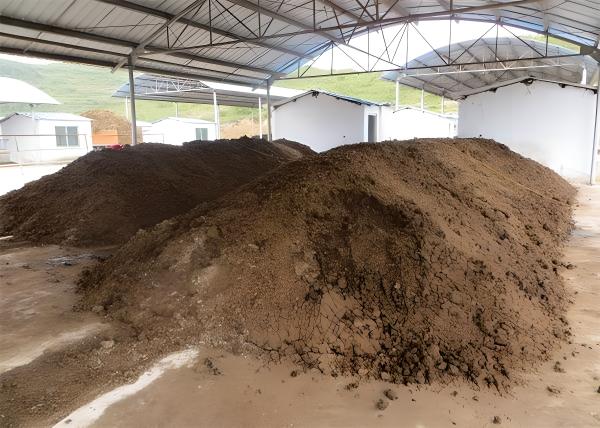 猪粪处理.jpg
